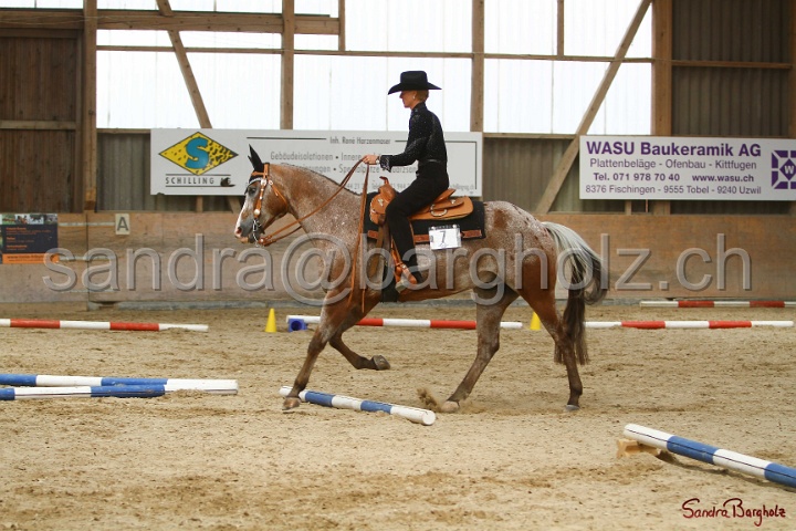 28-ApHC OT_167.jpg